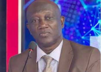 Karim Wade l’élu de 2029