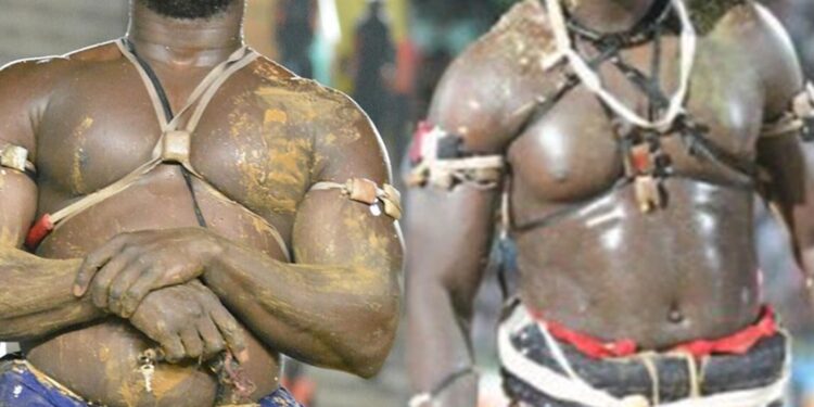 LUTTE SENEGALAISE – MODOU LO vs SITEU EN NOVEMBRE : La crédibilité du combat royal en question !
