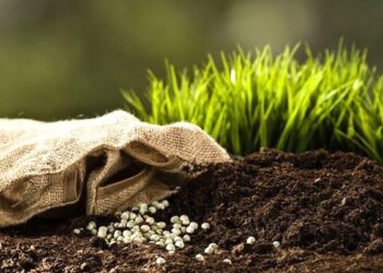 ENGRAIS : Pourquoi les prix de l’Etat ne reflètent pas les cours mondiaux ?