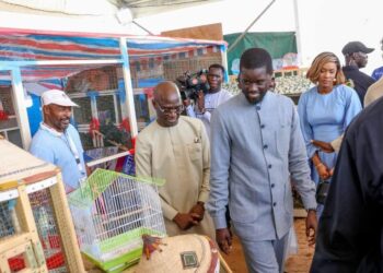 FIARA : Le Président Diomaye Faye annonce la baisse du prix de l’engrais