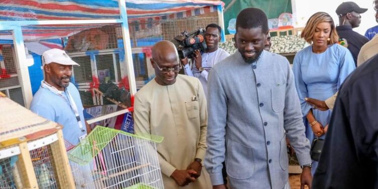 FIARA : Le Président Diomaye Faye annonce la baisse du prix de l’engrais