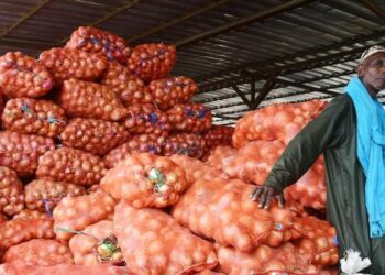 TABASKI APPROVISIONNEMENT DU MARCHE : Les consommateurs rassurés, craintes chez les producteurs…