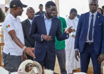 SOUMBÉDIOUNE : Le Président Diomaye Faye réitère son engagement à soutenir l’artisanat
