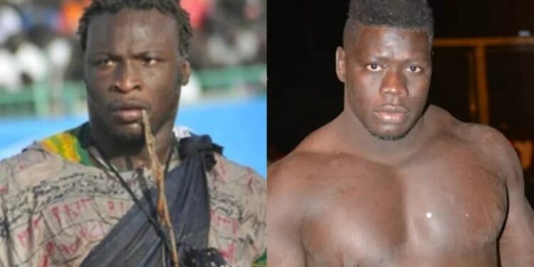 LUTTE / CHOC AMA BALDE / FRANC : Le fils de Falaye Baldé, favori, selon Tidiane Faye (Lansar)