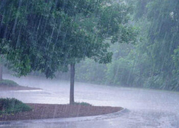 PLUIES POUR LES PROCHAINES 24 HEURES :  Les 5 régions du Sud et du Sud-­Est seront arrosées