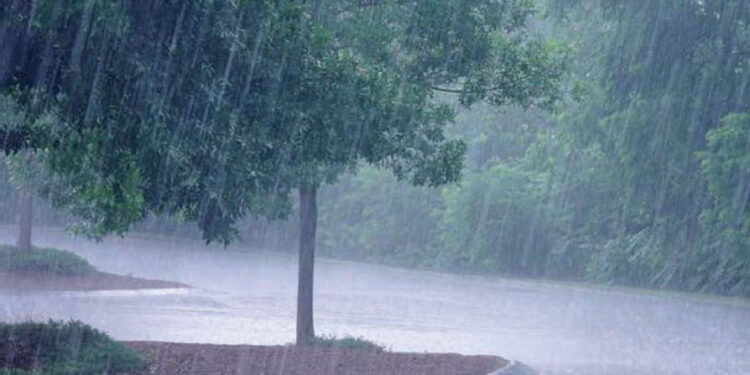 PLUIES POUR LES PROCHAINES 24 HEURES : Les 5 régions du Sud et du Sud-Est seront arrosées