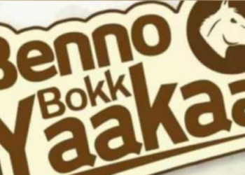 BBY :  «Le Président a exécuté de manière cynique une instruction de son PM »