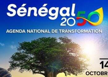 REACTION AU PLAN « SENEGAL 2050 »