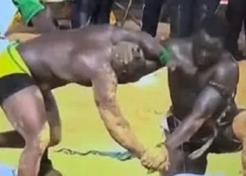 Combat royal : Les sanctions pécuniaires sont tombées pour Modou Lô et Siteu !