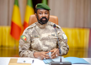 FACE AUX TENTATIVES DE LA « JUNTE FRANÇAISE » DE NUIRE À LEUR DYNAMIQUE : Les Armées de l’AES en alerte maximale