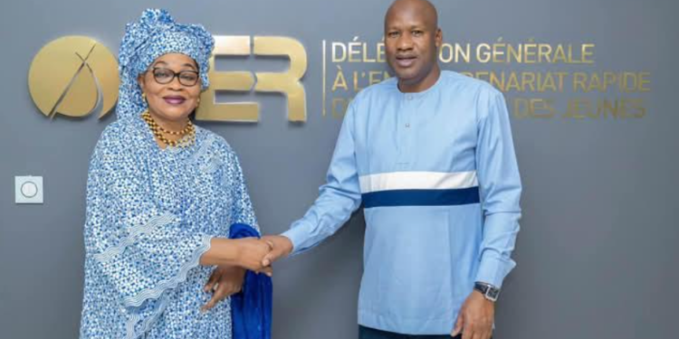 DISPONIBILITÉ ET ACCESSIBILITÉ DES MÉDICAMENTS : Près de 1 milliard F Cfa distribué à 98 jeunes pharmaciens