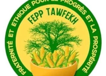 ASSEMBLÉE GÉNÉRALE DE FEEP TAWFEKH : Dieynaba Faye nouvelle coordonnatrice à Louga