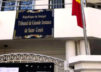 SAINT-LOUIS : 3 ans ferme pour trois membres de la garde rapprochée de « Samm Sa Kaddu »
