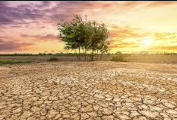 RÉCHAUFFEMENT CLIMATIQUE / L’ANNÉE 2024 DÉPASSE LE SEUIL DE 1,5 °C : Le pacte de Paris en danger !