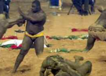 LUTTE : Zarco terrasse Gris Bordeaux et entre dans le cercle des VIP