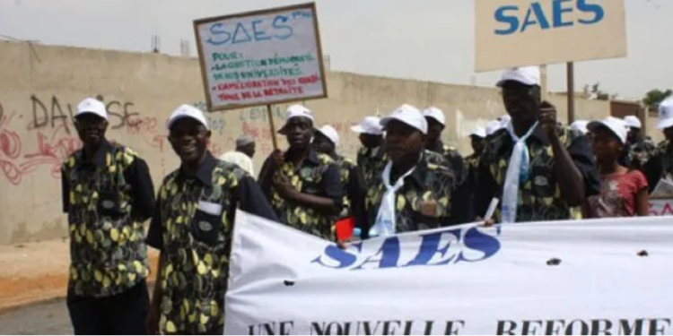 Non respect des engagements : Le SAES donne un ultimatum à l’État