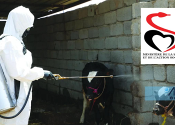 UN DÉCÈS PARMI LES 2 CAS DE FIÈVRE HÉMORRAGIQUE CRIMÉE CONGO ENREGISTRÉS À KAFFRINE : Une riposte intense à l’épidémie se poursuit 