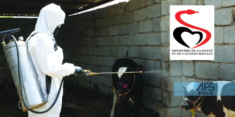 UN DÉCÈS PARMI LES 2 CAS DE FIÈVRE HÉMORRAGIQUE CRIMÉE CONGO ENREGISTRÉS À KAFFRINE : Une riposte intense à l’épidémie se poursuit 