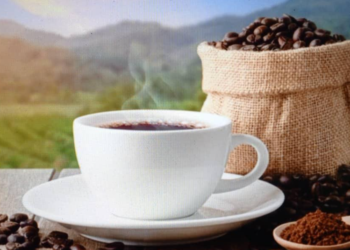 Marchés des matières premières agricoles : Les prix du cacao en hausse spectaculaire de 30% selon la Banque mondiale