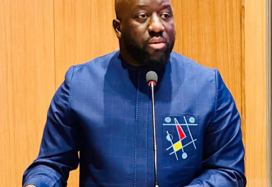 CLÔTURE DE LA 8E CONFÉRENCE DU RÉSEAU FRANCOPHONE : Le ministre de la communication, plaide pour une régulation plus inclusive