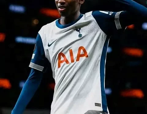 Ligue Europa : Tottenham bat Elfsborg et assure les huitièmes de finale