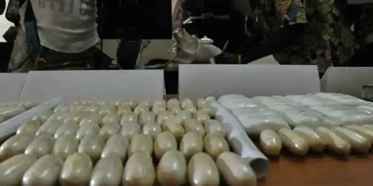 Saly : Une centaine de paquets de drogue d’une contre-valeur de 120 millions de FCFA saisie 