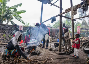 SITUATION EN RDC : La Raddho invite le Sénégal à agir