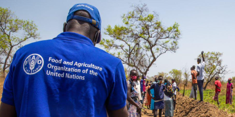 POUR FOURNIR UNE ASSISTANCE AGRICOLE D’URGENCE À 49 MILLIONS DE PERSONNES : La FAO veut réunir 1,9 milliard d’USD pour l’année 2025