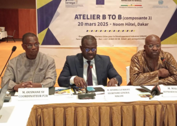 PROGRAMME DE RÉSILIENCE ET DE RELANCE DES MPME  : 5 Projets innovants sélectionnés