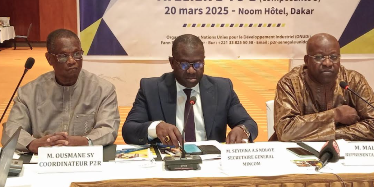 PROGRAMME DE RÉSILIENCE ET DE RELANCE DES MPME : 5 Projets innovants sélectionnés