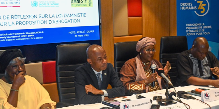 AMNISTIE : La CNDHS pour la soumission de la loi interprétative au Conseil constitutionnel