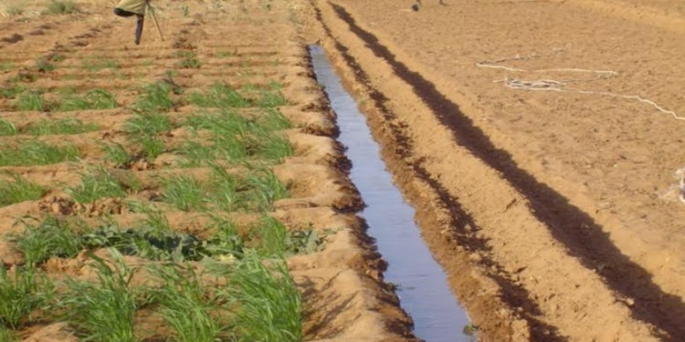 IRRIGATION : Les pays du Sahel lancent un appel à l’action pour accélérer les investissements