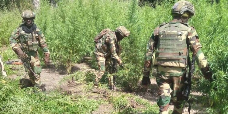 Opérations de sécurisation en Casamance : Un militaire blessé et un autre porté disparu