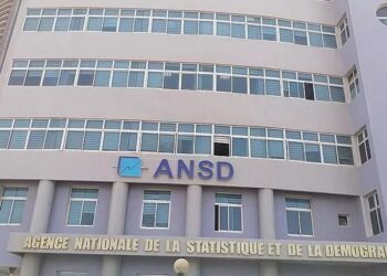 SECTEUR MODERNE : Une diminution de 0,8% du nombre d’employés salariés au quatrième trimestre 2024