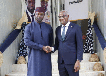 COOPERATION SOUS-REGIONALE : Dakar et Conakry veulent une jonction entre le gaz sénégalais et la bauxite guinéenne