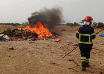 KAOLACK / JOURNÉE INTERNATIONALE DE LUTTE CONTRE LA DROGUE : Plus de 4,3 de tonnes de chanvre et 602 pièces de substances psychotropes incinérés 