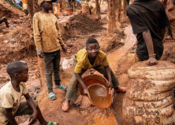 TRAVAIL DES ENFANTS : L’Afrique de l’Ouest porte le fardeau le plus lourd