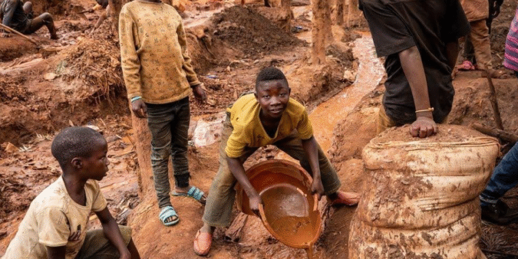 TRAVAIL DES ENFANTS : L’Afrique de l’Ouest porte le fardeau le plus lourd