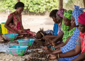 CONTRIBUTIONS DES COOPÉRATIVES ET MUTUELLES AU DÉVELOPPEMENT : Plus de 2 409 milliards de chiffres d’affaires réalisés par Les 300 plus grandes 