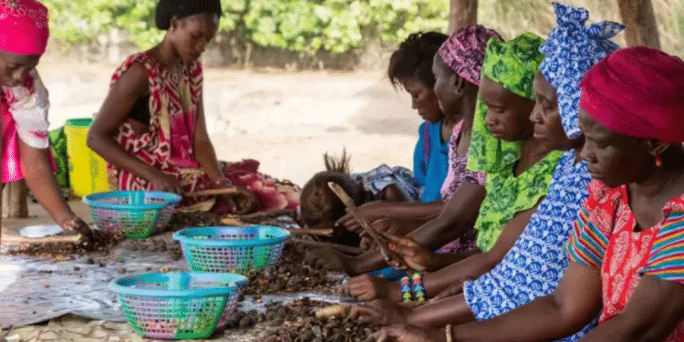 CONTRIBUTIONS DES COOPÉRATIVES ET MUTUELLES AU DÉVELOPPEMENT : Plus de 2 409 milliards de chiffres d’affaires réalisés par Les 300 plus grandes 