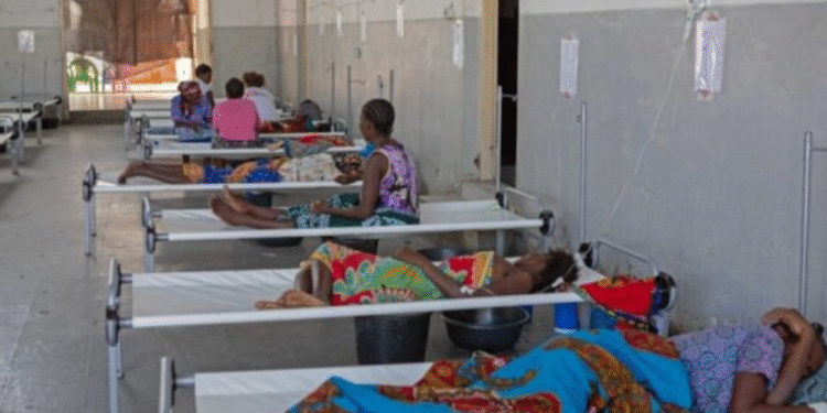 ÉPIDÉMIE DE CHOLÉRA : L’Afrique subsaharienne sous la menace d’une propagation