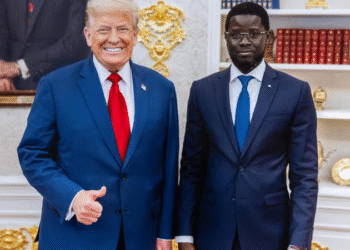 MINI-SOMMET ETATS-UNIS – AFRIQUE : Les ressources minières au cœur des échanges 