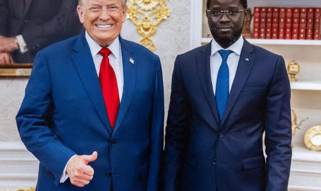 MINI-SOMMET ETATS-UNIS – AFRIQUE : Les ressources minières au cœur des échanges