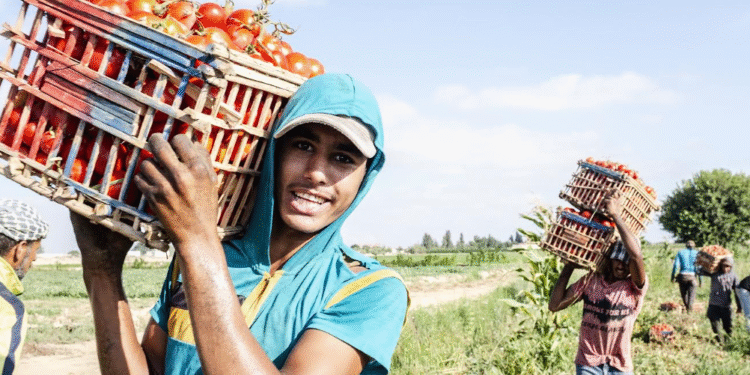 POUR STIMULER L’EMPLOI, LA COMPÉTITIVITÉ ET L’INVESTISSEMENT PRIVÉ AU SÉNÉGAL : La Banque mondiale approuve un financement de 37,7 milliards de F Cfa