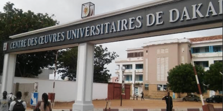 UNIVERSITÉS DU SÉNÉGAL : La restauration des étudiants coûte 45 milliards de F Cfa à l’Etat