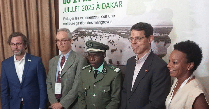 DÉFORESTATION, EXPLOITATION HUMAINE, POLLUTION, INFRASTRUCTURES…: Ces menaces qui pèsent sur les mangroves au Sénégal