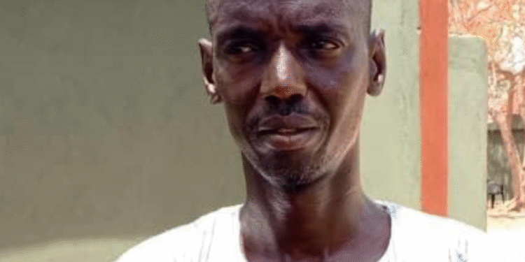 XOOY 2025 : Le saltigué Abdoulaye Ndiaye prédit un clash entre Diomaye et Sonko