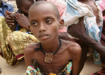 RAPPORT DES NATIONS UNIES : La faim recule à l’échelle mondiale, mais augmente en Afrique et en Asie de l’Ouest