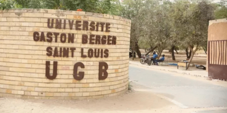 UGB : La section SAES décrète une grève de trois jours