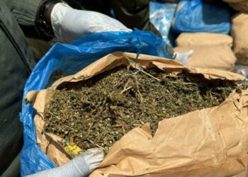 Guy Marius Sagna : « Nous allons continuer à avoir des relations avec la France, mais… »